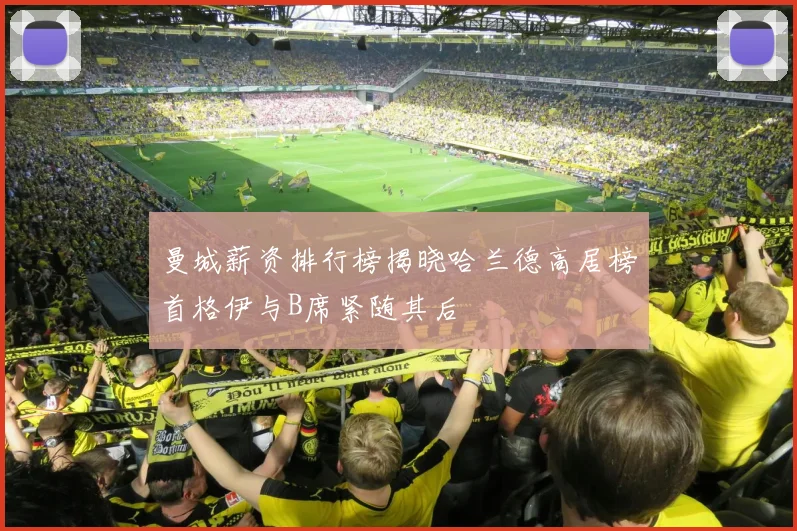 曼城薪资排行榜揭晓哈兰德高居榜首格伊与B席紧随其后