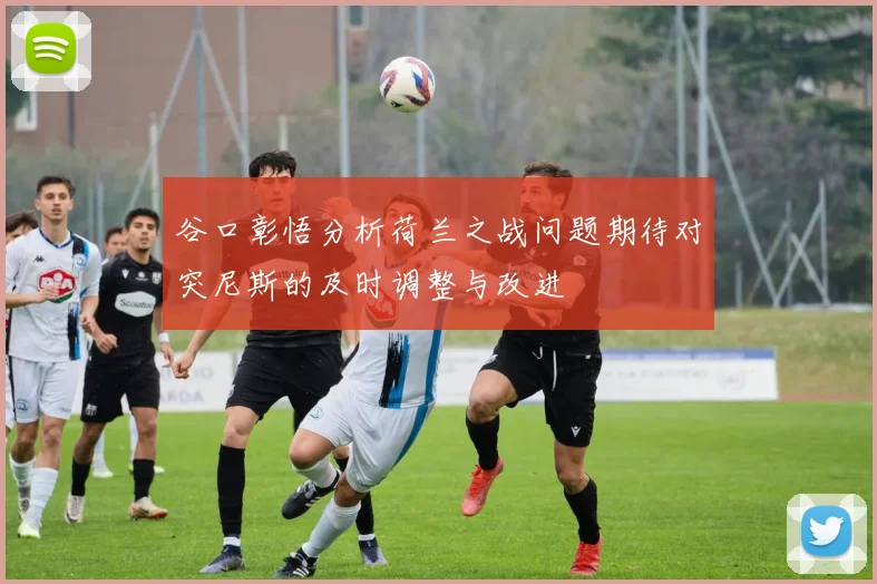 谷口彰悟分析荷兰之战问题期待对突尼斯的及时调整与改进